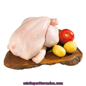 Pollo Limpio Entero Bolsa 1 Unidad Peso Aproximado 1800 G