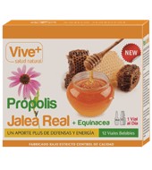 Propolis Y Jalea Real + Equinacea Viales Viveplus 12 Ud.