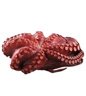 Pulpo Cocido 500 Gr/ud