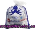 Pulpo Gallego Ría Gallego Pereira 1,2 Kilogramos