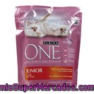 Purina One Alimento Para Gatos Junior Bolsa 450 Gr