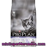 Purina Pro Plan Junior Optistart Alimento Para Gatitos Hasta 1 Año Para Reforzar La Salud Intestinal Con Pollo Bolsa 1,5 Kg