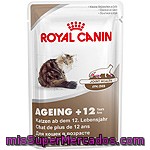 Royal Canin Ageing Alimento Completo En Forma De Filetitos Tiernos En Salsa Para Gatos Mayores De 12 Años Bolsa 85 G