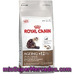 Royal Canin Ageing Alimento Especial Para Gatos Mayores De 12 Años Bolsa 2 Kg