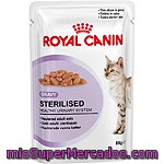 Royal Canin Alimento Húmedo Para Gatos Esterilizados Para Mantener El Peso Ideal En Finas Láminas Bolsa 85 G