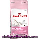 Royal Canin Babycat Alimento Especial Para Gatitos De 1 A 4 Meses Bolsa 2 Kg