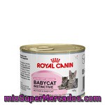 Royal Canin Babycat Instinctive Suave Mousse Para Gatitos Lata 195 G