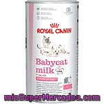 Royal Canin Babycat Milk Leche Maternizada Instantánea Para Gatitos Envase 300 G