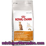 Royal Canin Exigent Protein Preference Alimento Para Gato De Apetito Exigente Y Preferencia A Los Nutrientes Bolsa 2 Kg