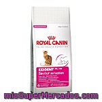 Royal Canin Exigent Savour Sensation Alimento Completo Para Gatos De Apetito Exigente Con Preferencia Al Sabor Bolsa 2 Kg