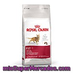 Royal Canin Fit Alimento Especial Para Gato Adulto Moderadamente Activo Bolsa 4 Kg