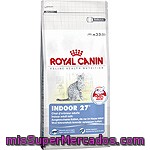 Royal Canin Indoor Alimento Especial Para Gato Adulto Que Vive En El Interior Bolsa 2 Kg
