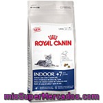 Royal Canin Indoor Long Hair Alimento Completo Para Gatos + 7 Años Con Pelo Largo Que Viven En El Interior Con Fibras Bolsa 1,5 Kg