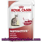 Royal Canin Instinctive Alimento Completo En Forma De Trocitos En Salsa Para El Mantenimiento Del Gato Adulto Bolsa 85 G