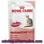 Royal Canin Instinctive Alimento Para Gatos Adultos Con Gelatina Para Mantener La Salud Del Tracto Urinario Bolsa 85 G