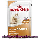 Royal Canin Intense Beauty Alimento Completo En Forma De Trocitos En Salsa Para La Belleza Del Pelaje Del Gato Adulto Bolsa 85 G