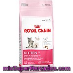Royal Canin Kitten Alimento Especial Para Gatitos Hasta 12 Meses Bolsa 2 Kg