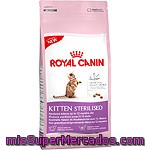 Royal Canin Kitten Sterilised Alimento Especial Para Gatitos Esterilizados De 6 A 12 Meses De Edad Bolsa 2 Kg