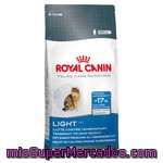 Royal Canin Light Alimento Especial Para Gato Adulto Con Un 17% Menos De Calorías Bolsa 3,5 Kg