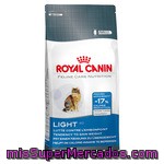 Royal Canin Light Alimento Especial Para Gato Adulto Con Un 17% Menos De Calorías Bolsa 3,5 Kg