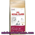 Royal Canin Persian Alimento Especial Para Gatos Persas De + 1 Año Bolsa 2 Kg