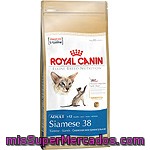 Royal Canin Siamese Alimento Especial Para Gato Siamés De + 1 Año Bolsa 2 Kg