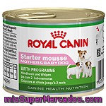 Royal Canin Starter Mousse Para Madres Y Cachorros Hasta Los 2 Meses De Edad Lata 195 G