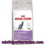 Royal Canin Sterilised 37 Alimento Especial Para Gato Esterilizado Con Tendencia Al Sobrepeso Bolsa 4 Kg