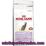 Royal Canin Sterilised 37 Alimento Especial Para Gato Esterilizado Con Tendencia Al Sobrepeso Bolsa 400 G
