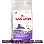 Royal Canin Sterilised + 7 Alimento Especial Para Gato Adulto Esterilizado Con Tendencia Al Sobrepeso De + 7 Años Bolsa 1,5 Kg