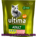 Salmón Gato Ultima, Paquete 800 G