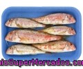 Salmonete Pescado Fresco Peso Barqueta 500 Gramos Aproximados