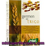 Santiveri Germen De Trigo Envase 400 G