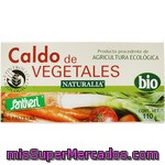 Santiveri Naturalia Caldo Vegetal Biológico En Pastillas Envase 10 Unidades