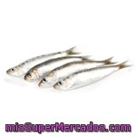 Sardina Fresca Grande Entera (preparado: Sin Limpiar) ***sujeto A Disponibilidad***, Varios, Granel (minimo 500 G)(peso Aproximado De La Unidad 500 Gr)