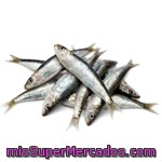 Sardina Fresca Pequeña (sardinilla)(preparado: Sin Limpiar) ***sujeto A Disponibilidad***, Varios, Granel (minimo 250 G)(peso Aproximado De La Unidad 250 Gr)