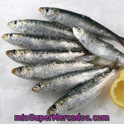 Sardina Gorda 14-16 Pzas/kilo. Bandeja De 500.0 G. Aprox - Limpio