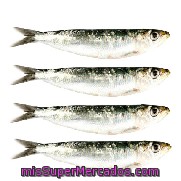 Sardina Parrocha Envase De 1000.0 G. Aprox - A Granel