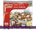 Selección De Setas Findus 300 Gramos