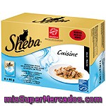 Sheba Cuisine Selección De Pescados En Salsa Para Gatos Pack 8 Bolsa 85 G