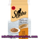 Sheba Delicada Selección Con De Carnes Para Gatos Pack 6 Unidades 50 G