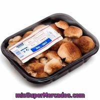 Shiitake, Bandeja 200 G