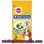 Snack Pedigree Dentastixfresh 180 Grs