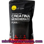 Special Line Creatina En Polvo Monohidratada Pura Envase 500 G