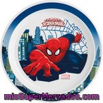 Spiderman Plato Decorado Llano 22 Cm 1 Unidad