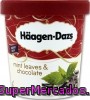 Tarrina Helado Chocolate/menta Haagen Dazs 500 Mililitros