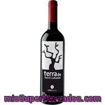 Terra De Ferre I Catasus Vino Tinto Joven D.o. Priorat Botella 75 Cl