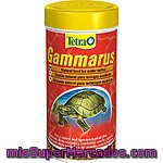 Tetrafauna Gammarus Alimento Natural Para Tortugas Acuáticas Envase 100 Ml
