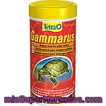 Tetrafauna Gammarus Alimento Natural Para Tortugas Acuáticas Envase 500 Ml