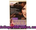 Tinte Castaño Cereza Nº 4.3 Keratin Color 1 Unidad